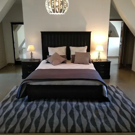 Gasthuis Chateau De St Alyre Sanssat