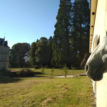 Gasthuis Chateau De St Alyre *