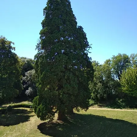 Gasthuis Chateau De St Alyre Sanssat